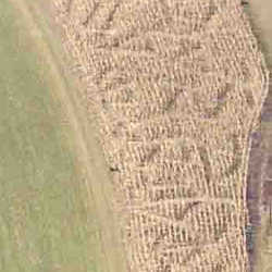 2001 Corn Maze